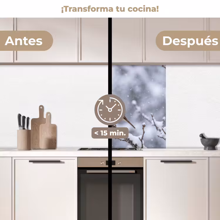 Revestimiento cocina - Pájaro - Rama - Nieve - Invierno — 2