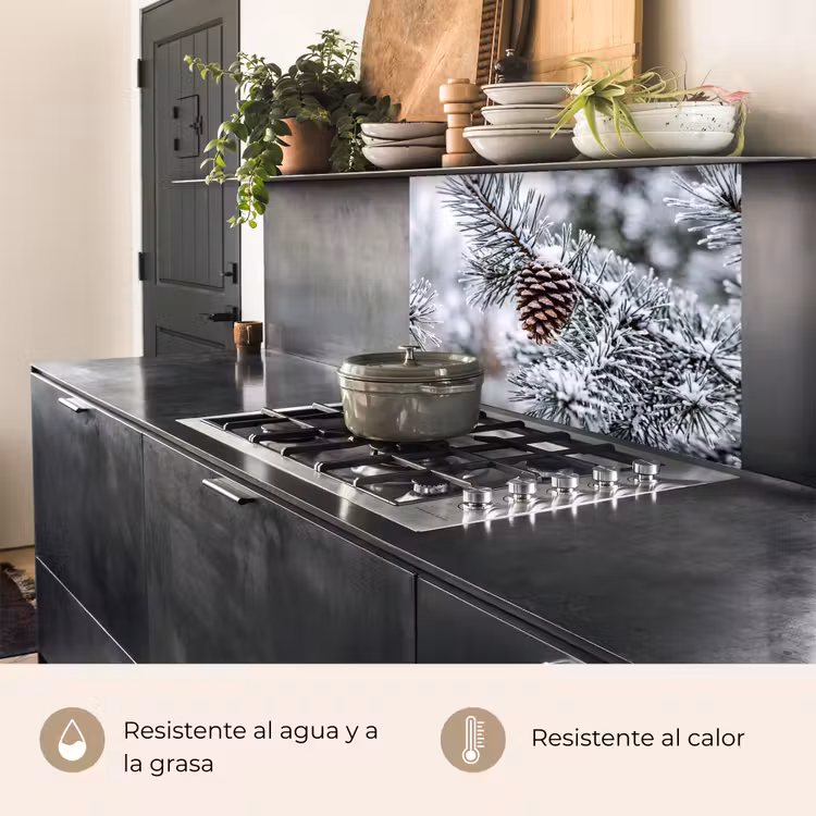 Revestimiento cocina - Piña - Rama - Nieve - Invierno - Atmosférico — 4