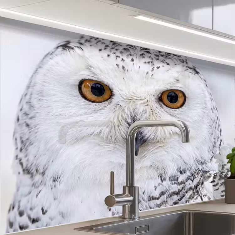 Revestimiento cocina - Búho nival - Ojo - Fauna - Blanco — 1