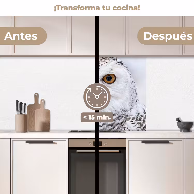 Revestimiento cocina - Búho nival - Ojo - Fauna - Blanco — 2