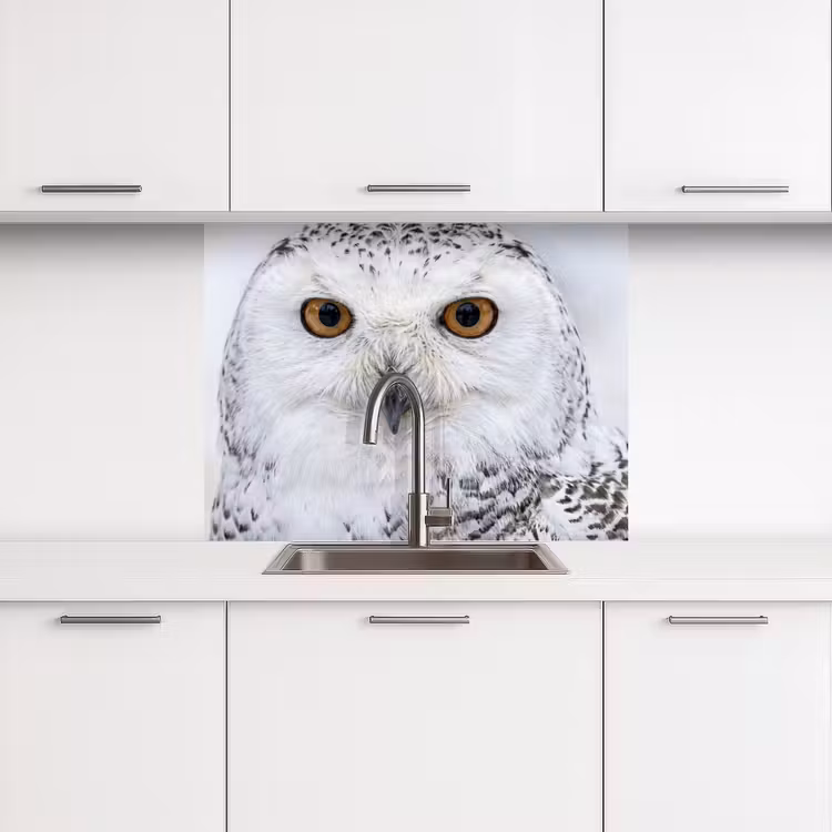 Revestimiento cocina - Búho nival - Ojo - Fauna - Blanco — 3