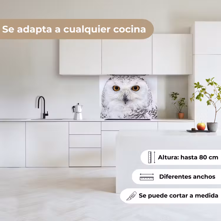 Revestimiento cocina - Búho nival - Ojo - Fauna - Blanco — 6