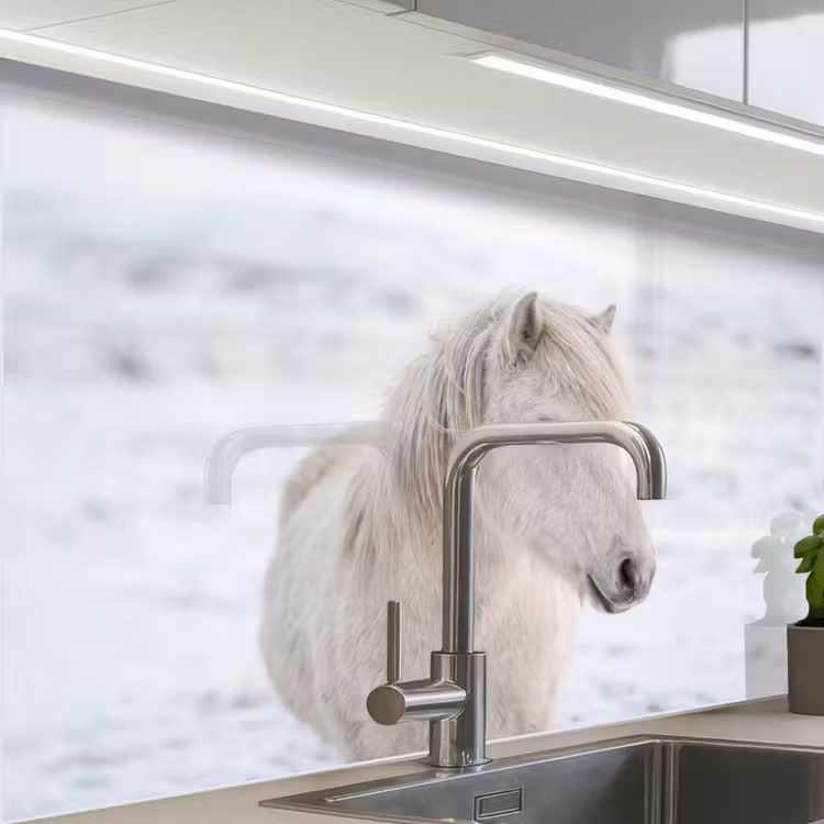 Revestimiento cocina - Caballo - Cabeza - Invierno - Animales - Blanco — 1