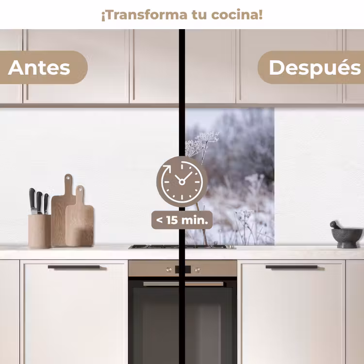 Revestimiento cocina - Flor de pantalla - Maduro - Cristal - Invierno - Delicado — 2