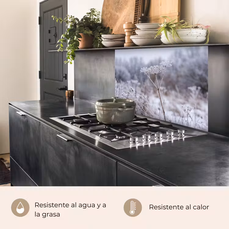 Revestimiento cocina - Flor de pantalla - Maduro - Cristal - Invierno - Delicado — 4
