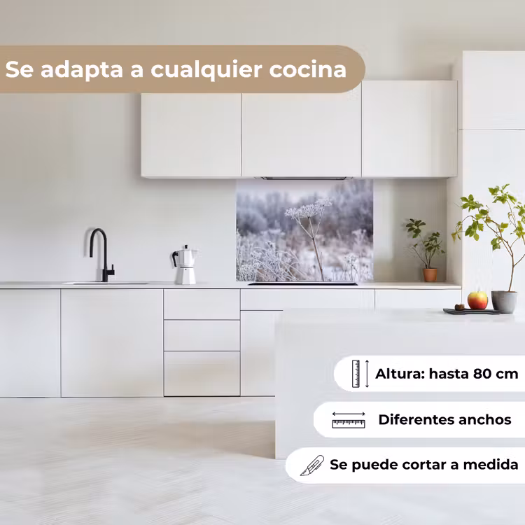 Revestimiento cocina - Flor de pantalla - Maduro - Cristal - Invierno - Delicado — 6