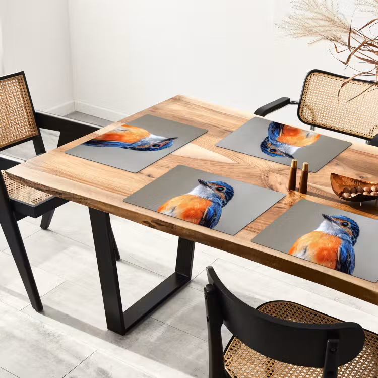 Vinilo para manteles individuales - Colorido - Pájaro - Plumas - Azul — 4