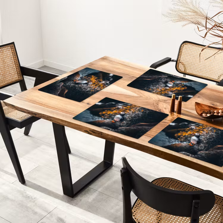 Vinilo para manteles individuales - Loro - Pájaro - Roca - Blanco — 4