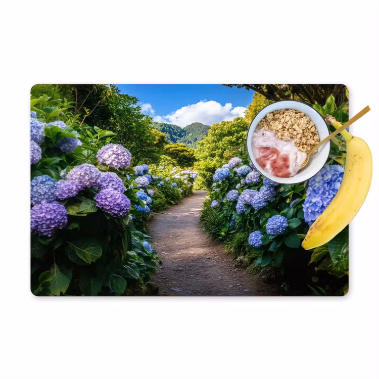 Vinilo para manteles individuales - Hortsensia - Sapo - Flores — 1