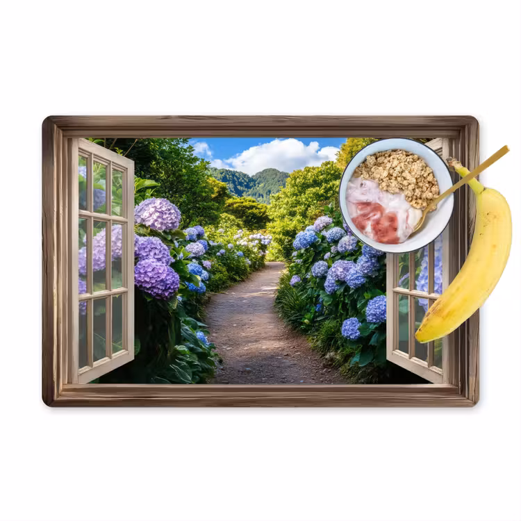 Vinilo para manteles individuales - Mirada - Hortensia - Sendero - Naturaleza — 1