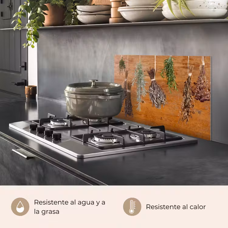 Salpicaderos de cocina - Secado de hierbas — 2