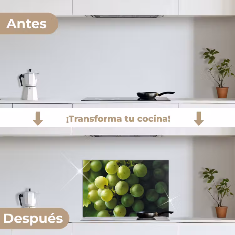 Salpicaderos de cocina - Uvas - Racimo - Verde — 7