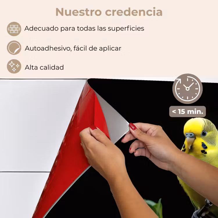 Salpicaderos de cocina - Periquito - Rama - Hojas - Amarillo — 4
