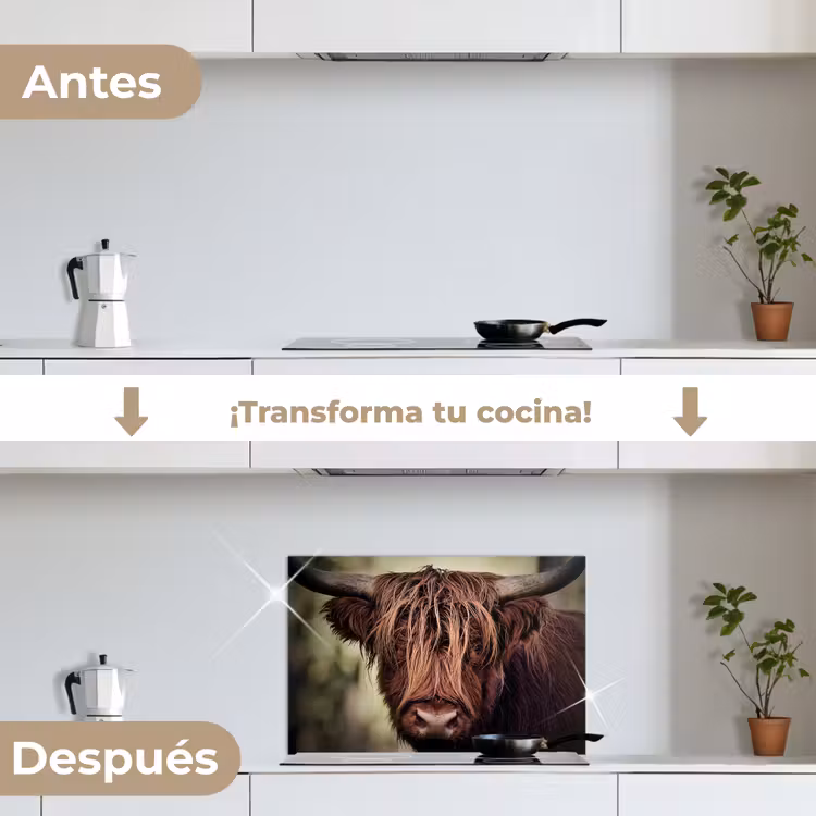 Salpicaderos de cocina - Vista desde la naturaleza — 7