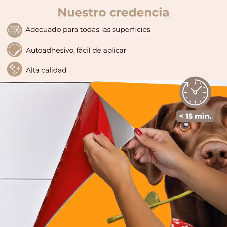 Salpicaderos de cocina - Perro - Naranja - Rosa - San Valentín — 4