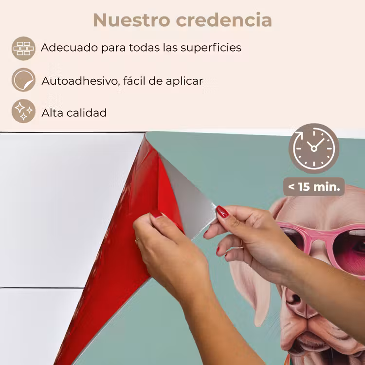 Salpicaderos de cocina - Perro - Camisa - Flores - Gafas — 4