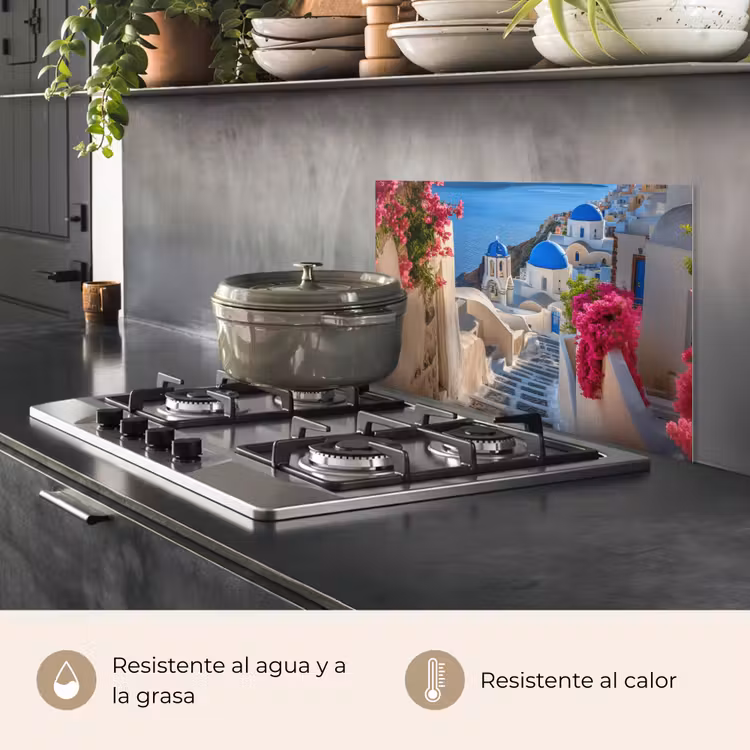 Salpicaderos de cocina - Santorini - Flores - Grecia — 2