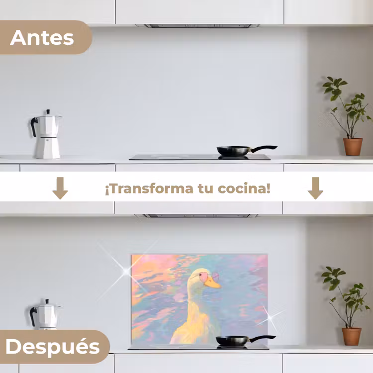 Salpicaderos de cocina - Pato - Gafas de sol - Agua — 7