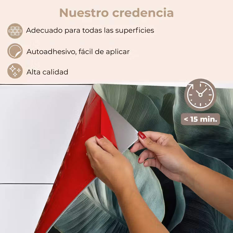 Salpicaderos de cocina - Verde - Hojas - Liso - Venas — 4
