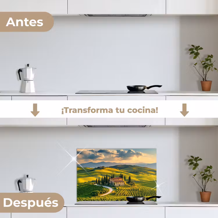 Salpicaderos de cocina - Toscana - Paisaje - Viñedos — 7