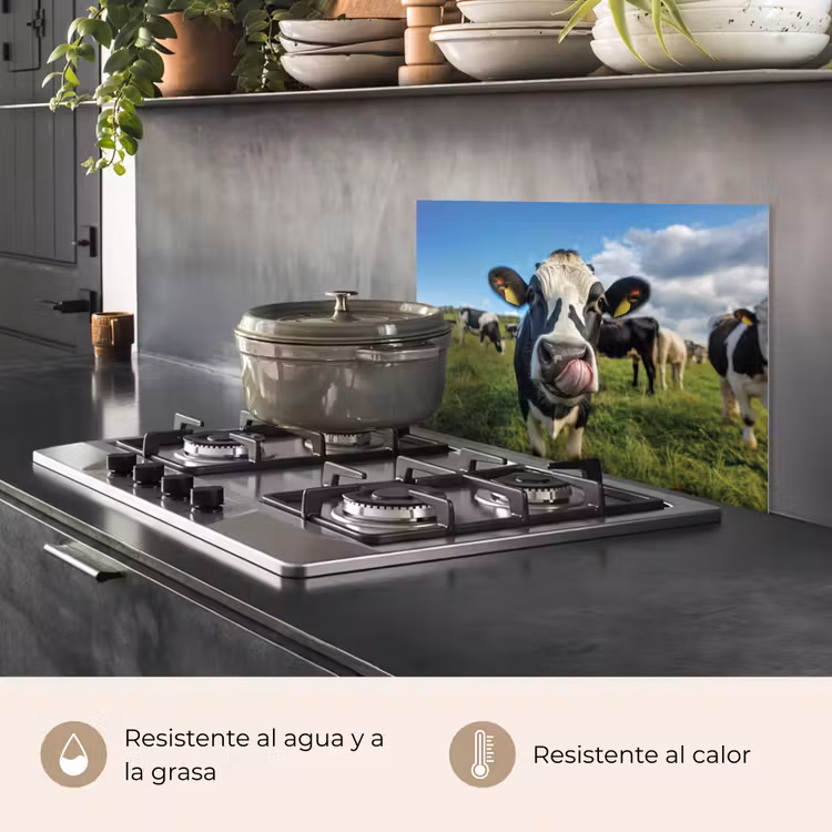 Salpicaderos de cocina - Vaca - Lengua - Pradera — 2