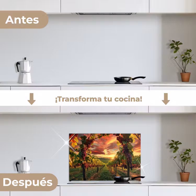 Salpicaderos de cocina - Viñedo - Uvas - Puesta de sol — 7