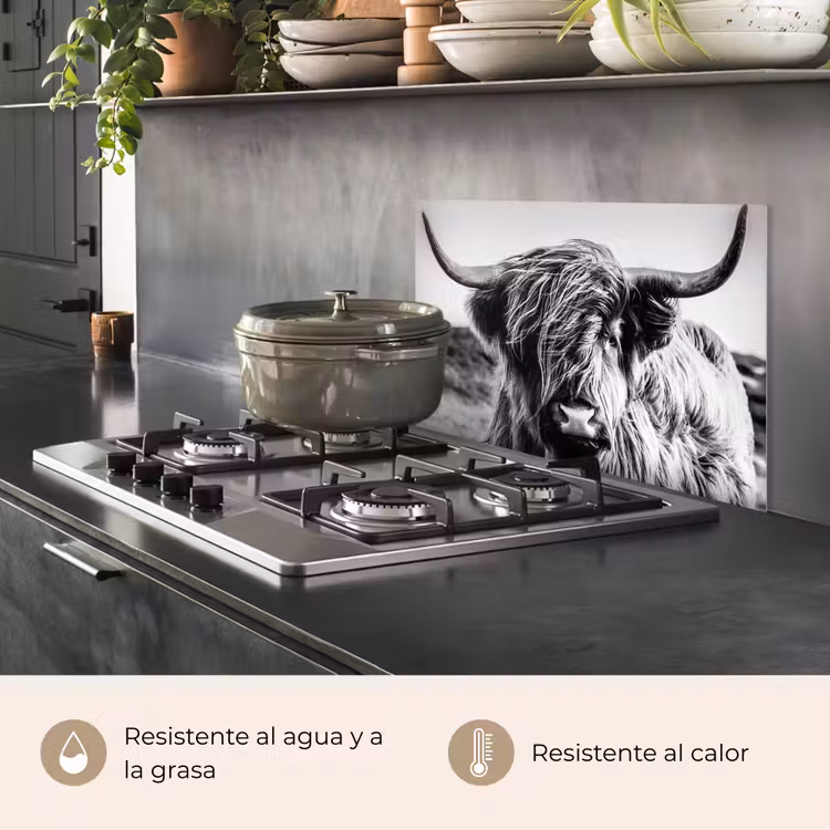 Salpicaderos de cocina - Vaca - Highlander escocés - Negro - Blanco - Animal - Naturaleza - Vida silvestre — 2