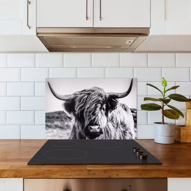 Salpicaderos de cocina - Vaca - Highlander escocés - Negro - Blanco - Animal - Naturaleza - Vida silvestre — 3