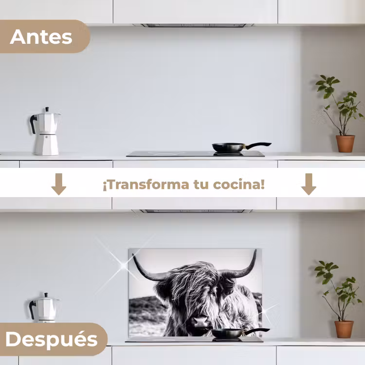 Salpicaderos de cocina - Vaca - Highlander escocés - Negro - Blanco - Animal - Naturaleza - Vida silvestre — 7