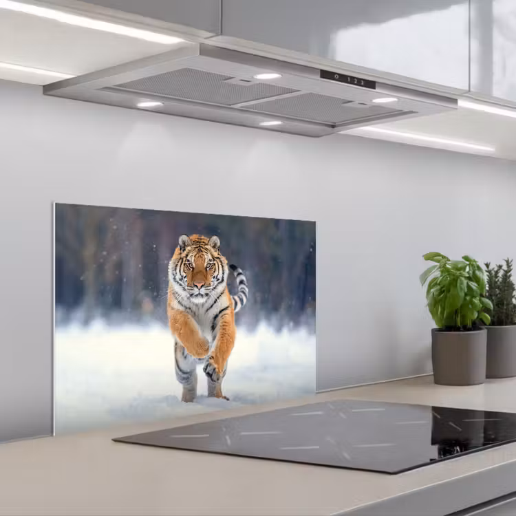Salpicaderos de cocina - Tigre - Paisaje - Nieve - Animales — 1