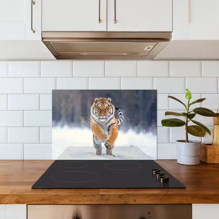 Salpicaderos de cocina - Tigre - Paisaje - Nieve - Animales — 3