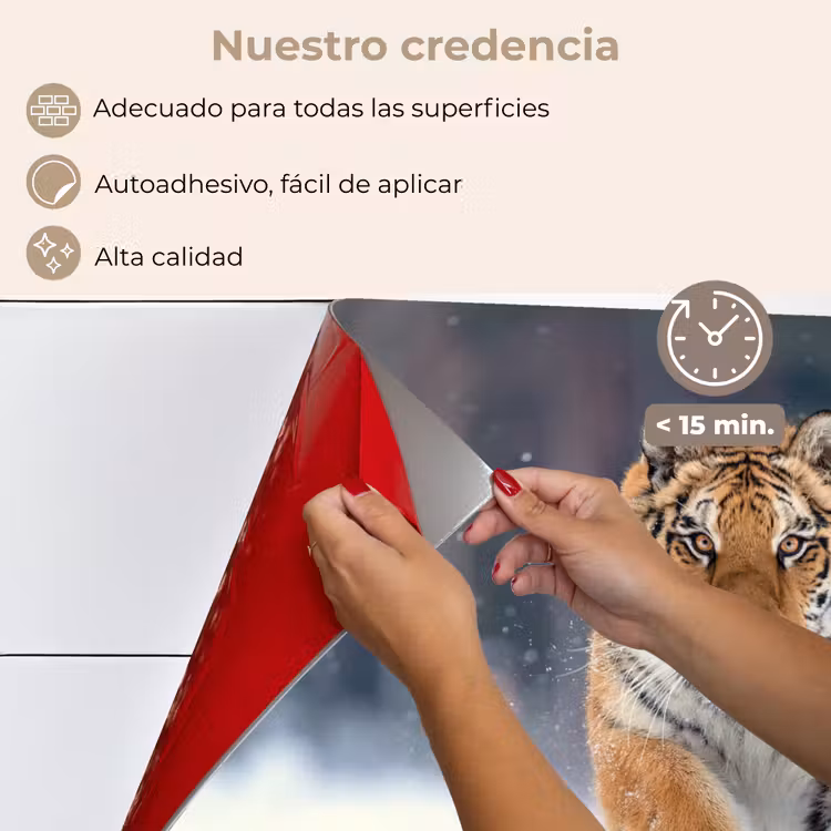 Salpicaderos de cocina - Tigre - Paisaje - Nieve - Animales — 4