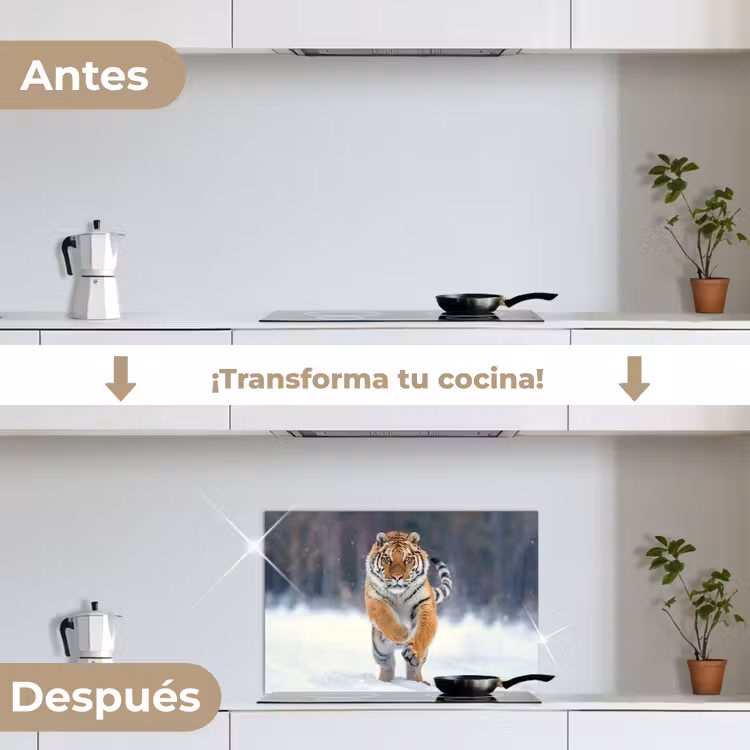 Salpicaderos de cocina - Tigre - Paisaje - Nieve - Animales — 7