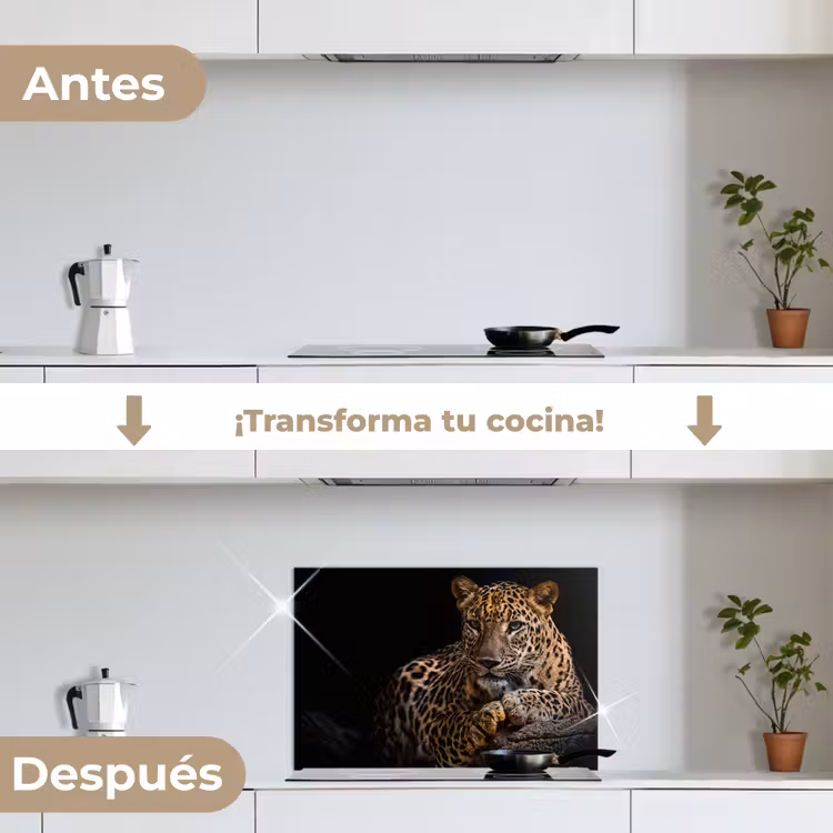 Salpicaderos de cocina - Vida salvaje - Pantera - Retrato - Negro - Animales — 7