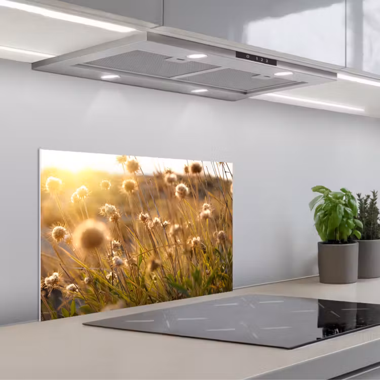 Salpicaderos de cocina - Plantas - Naturaleza - Flores - Sol - Horizonte — 1