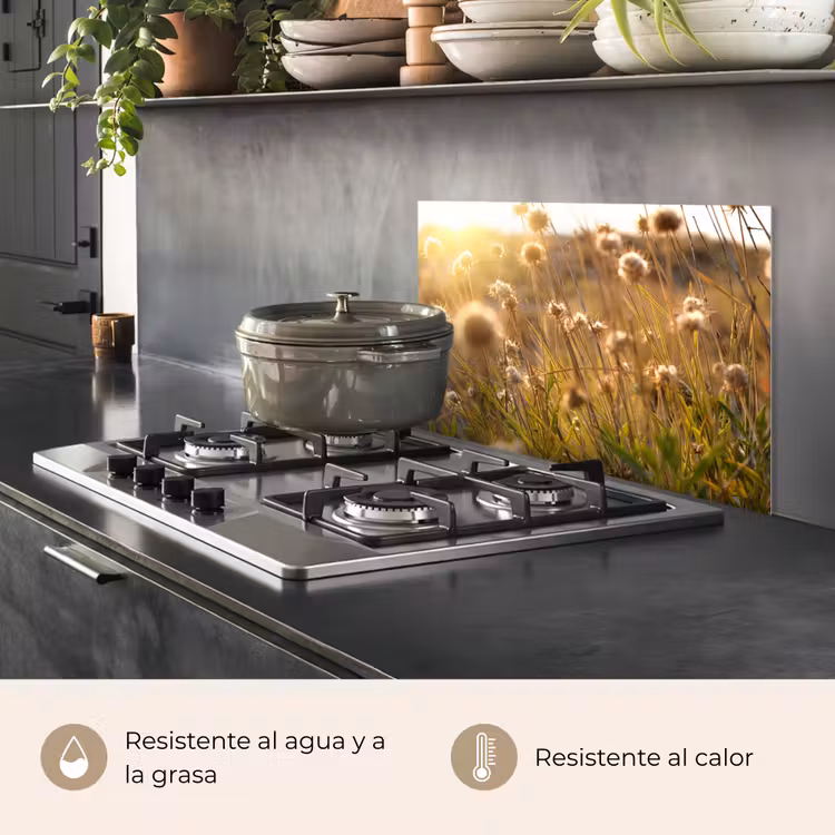 Salpicaderos de cocina - Plantas - Naturaleza - Flores - Sol - Horizonte — 2