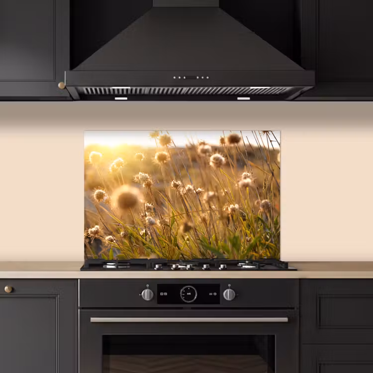 Salpicaderos de cocina - Plantas - Naturaleza - Flores - Sol - Horizonte — 5