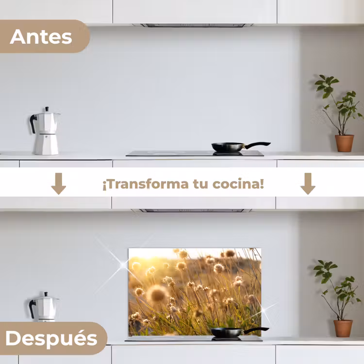 Salpicaderos de cocina - Plantas - Naturaleza - Flores - Sol - Horizonte — 7