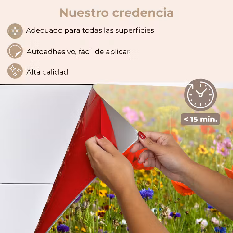 Salpicaderos de cocina - Primavera - Flores - Rojo - Amapola - Hierba - Verde — 4