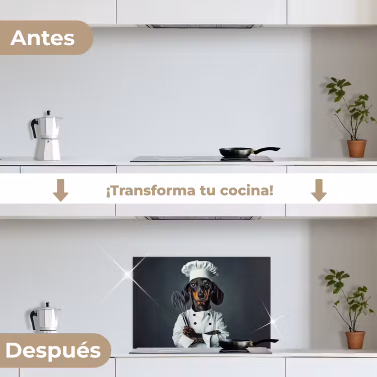 Salpicaderos de cocina - Perro - Garde - Cocinero — 7