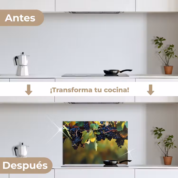 Salpicaderos de cocina - Uvas - Vino - Naturaleza - Verde — 7
