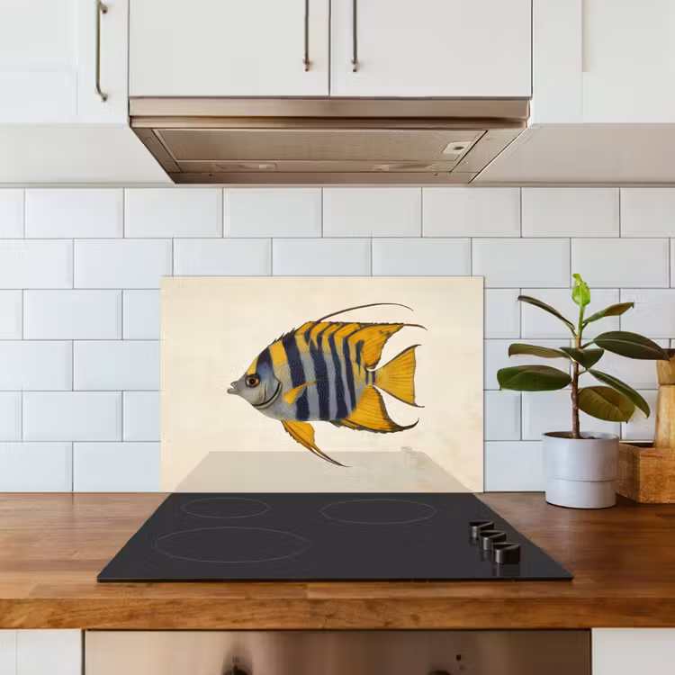 Salpicaderos de cocina - Pez - Decorativo - Aletas - Ilustración — 3