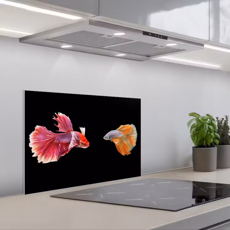 Salpicaderos de cocina - Peces - Coloridos - Animales — 1