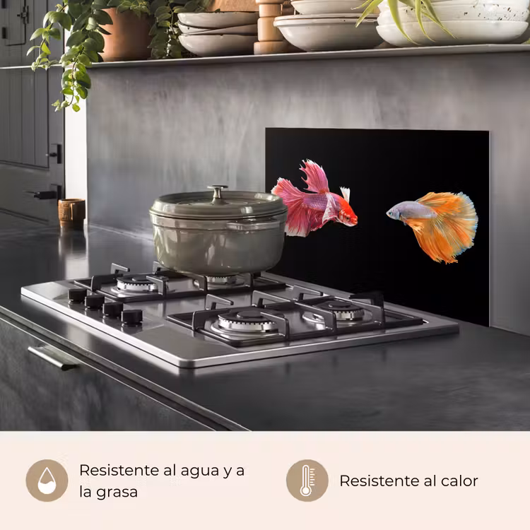 Salpicaderos de cocina - Peces - Coloridos - Animales — 2