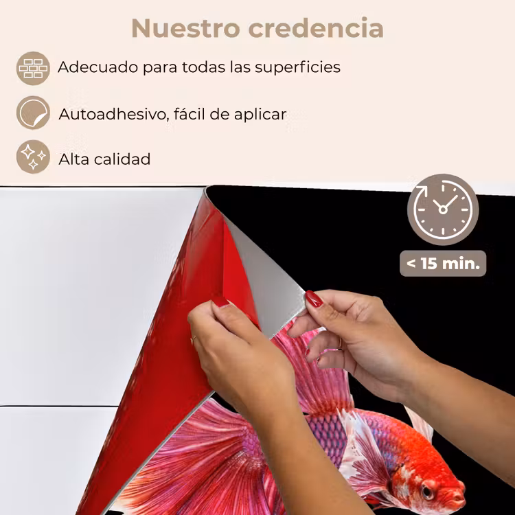 Salpicaderos de cocina - Peces - Coloridos - Animales — 4