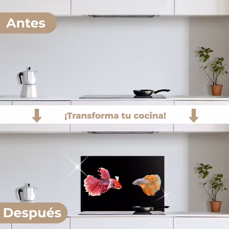 Salpicaderos de cocina - Peces - Coloridos - Animales — 7