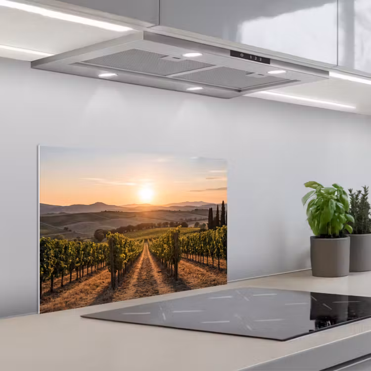 Salpicaderos de cocina - Viñedo - Puesta de sol - Paisaje — 1