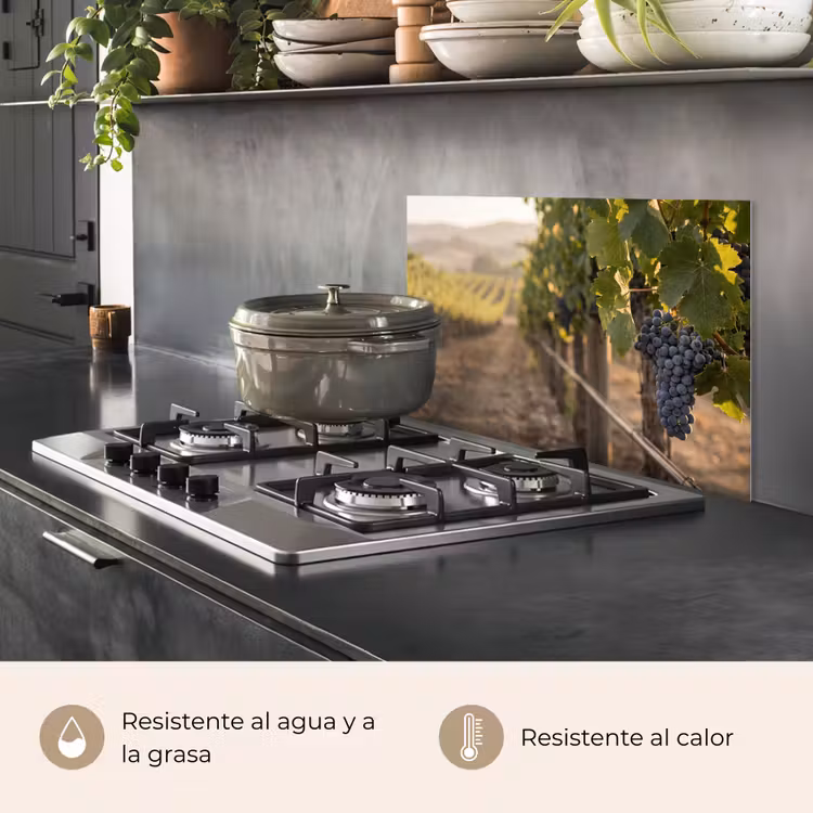 Salpicaderos de cocina - Uvas - Viñedo - Luz solar — 2