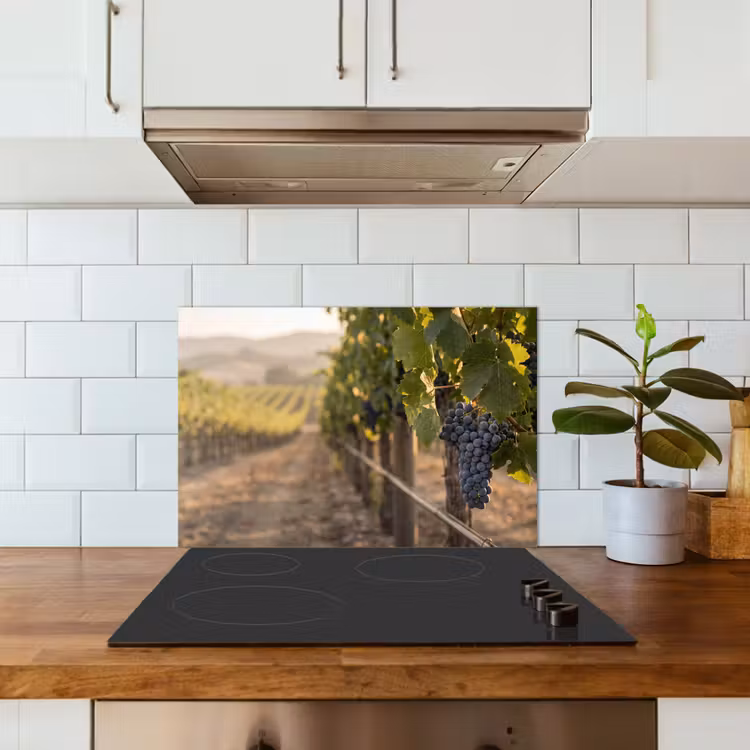 Salpicaderos de cocina - Uvas - Viñedo - Luz solar — 3