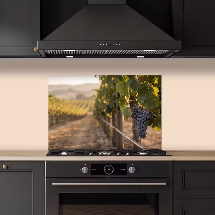 Salpicaderos de cocina - Uvas - Viñedo - Luz solar — 5
